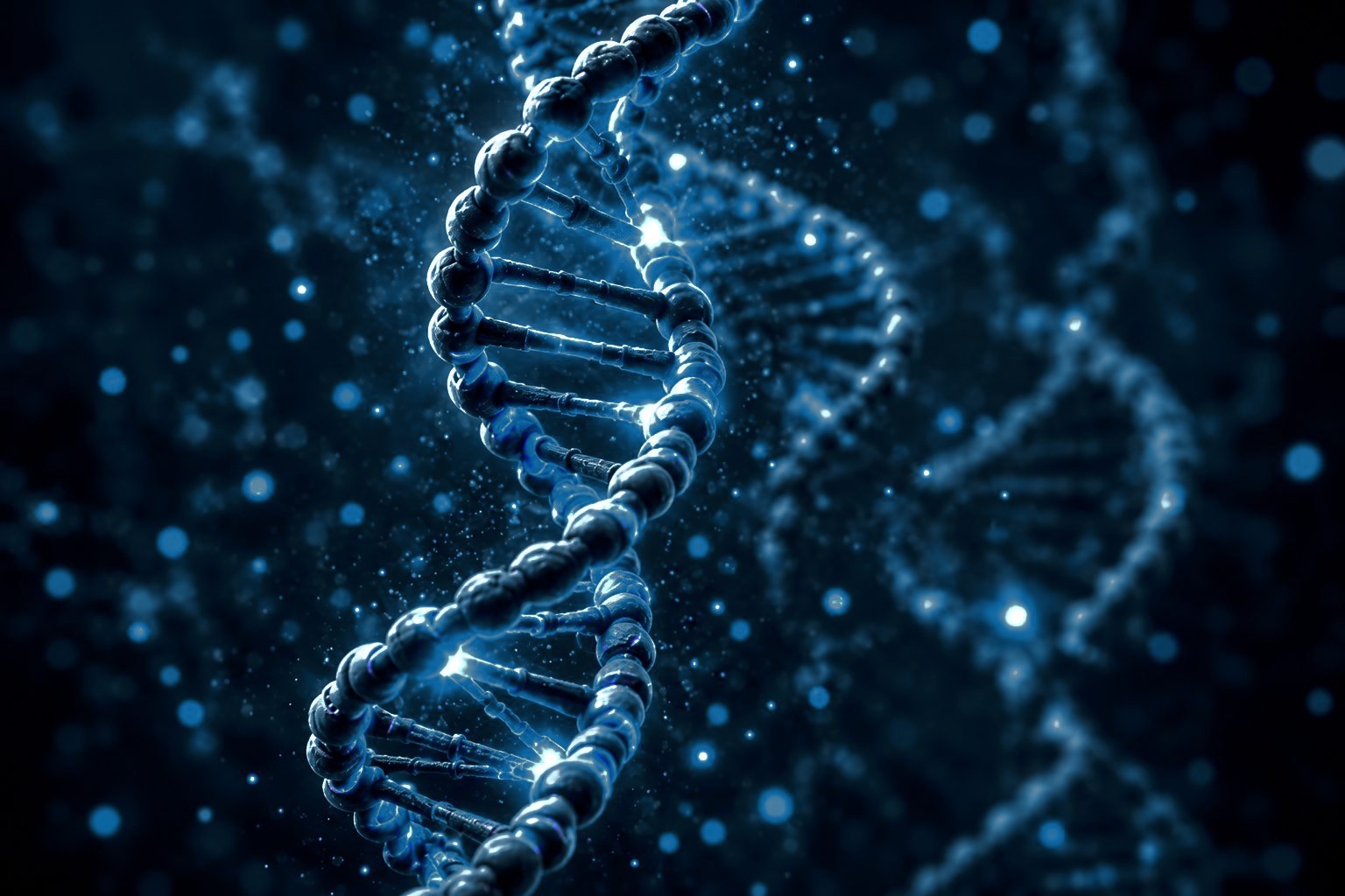 DNA double helix